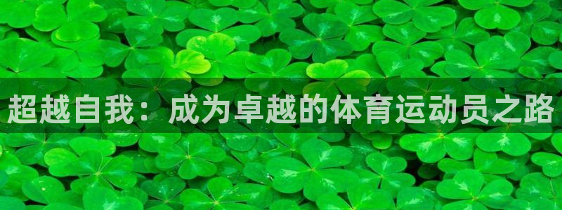 意昂总代