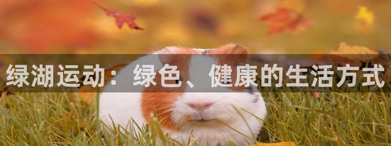 意昂2体育app下载
