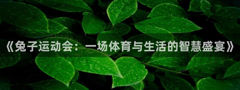意昂2体育凯捷平台招商