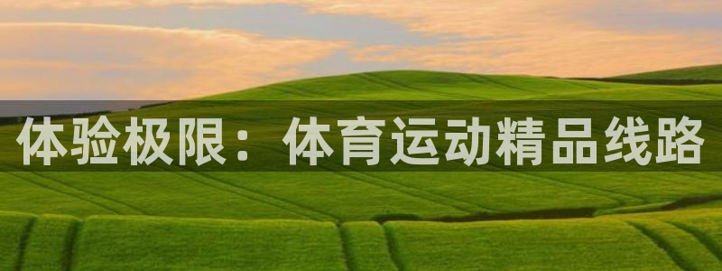 意昂的动画