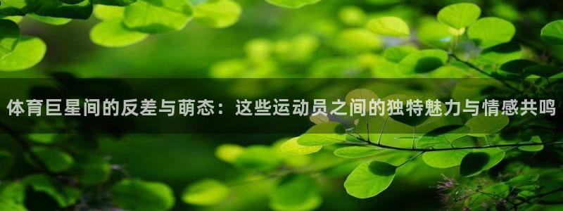 东莞市意昂电子科技有限公司