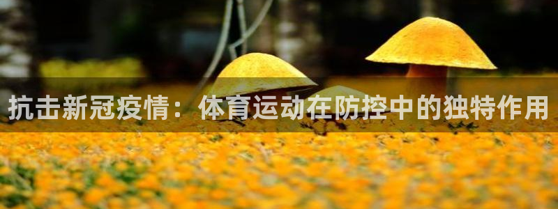 意昂2零能源集团