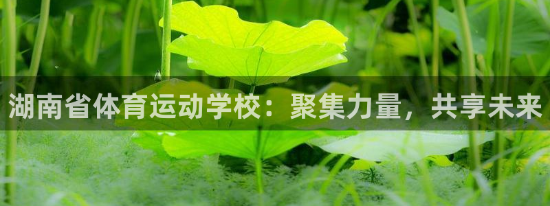 意昂2体育官网注册