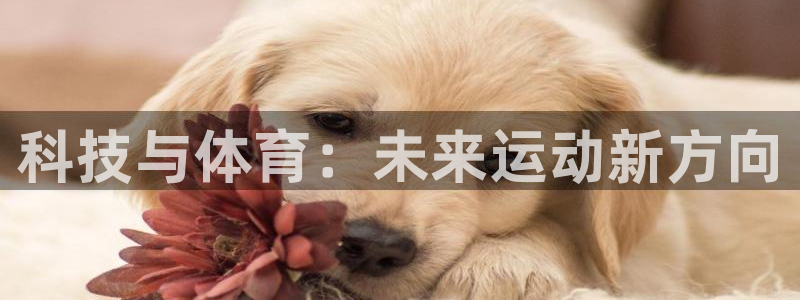 意昂凯捷注册